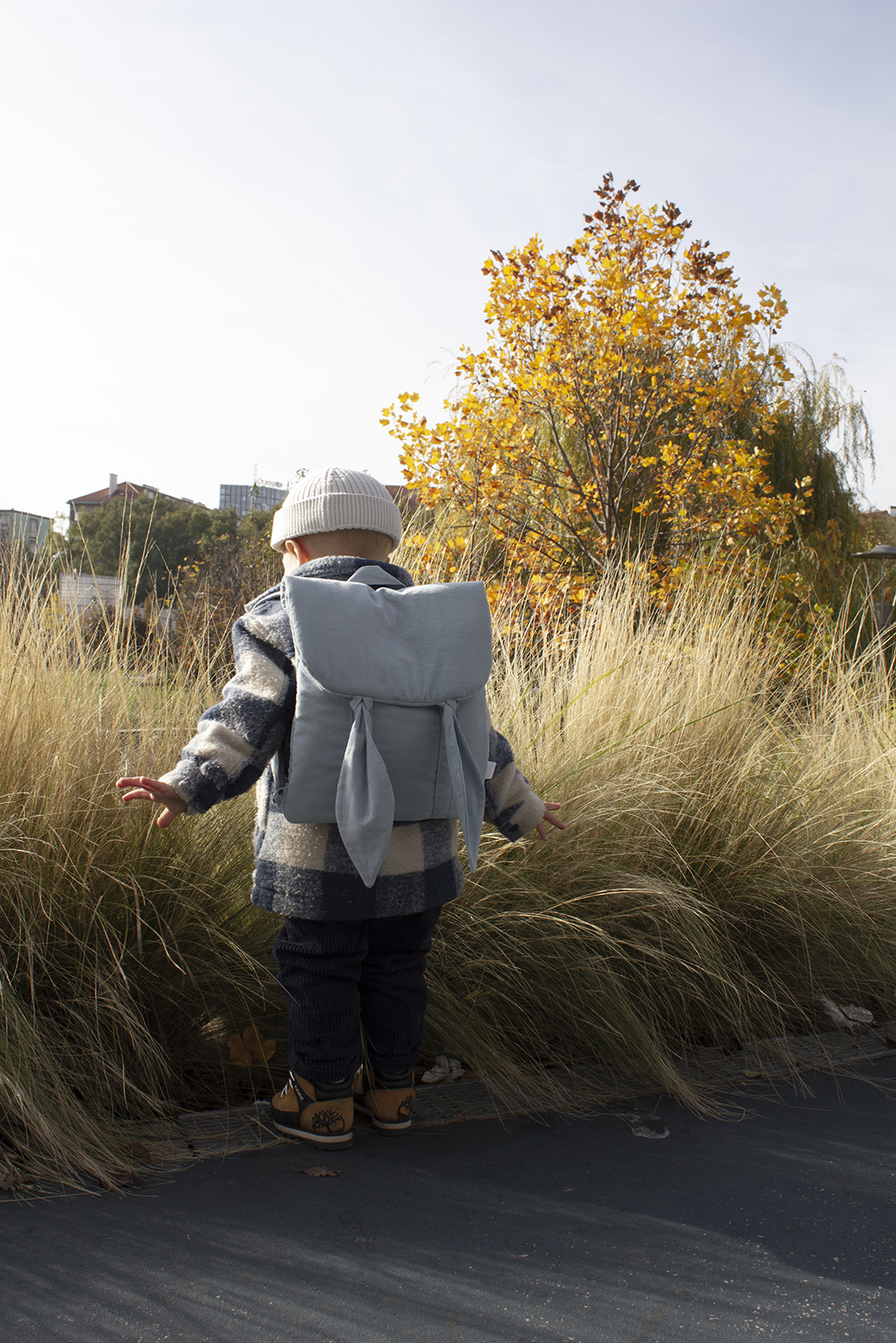 Ušivak- Modrý svetlý (Menčester )