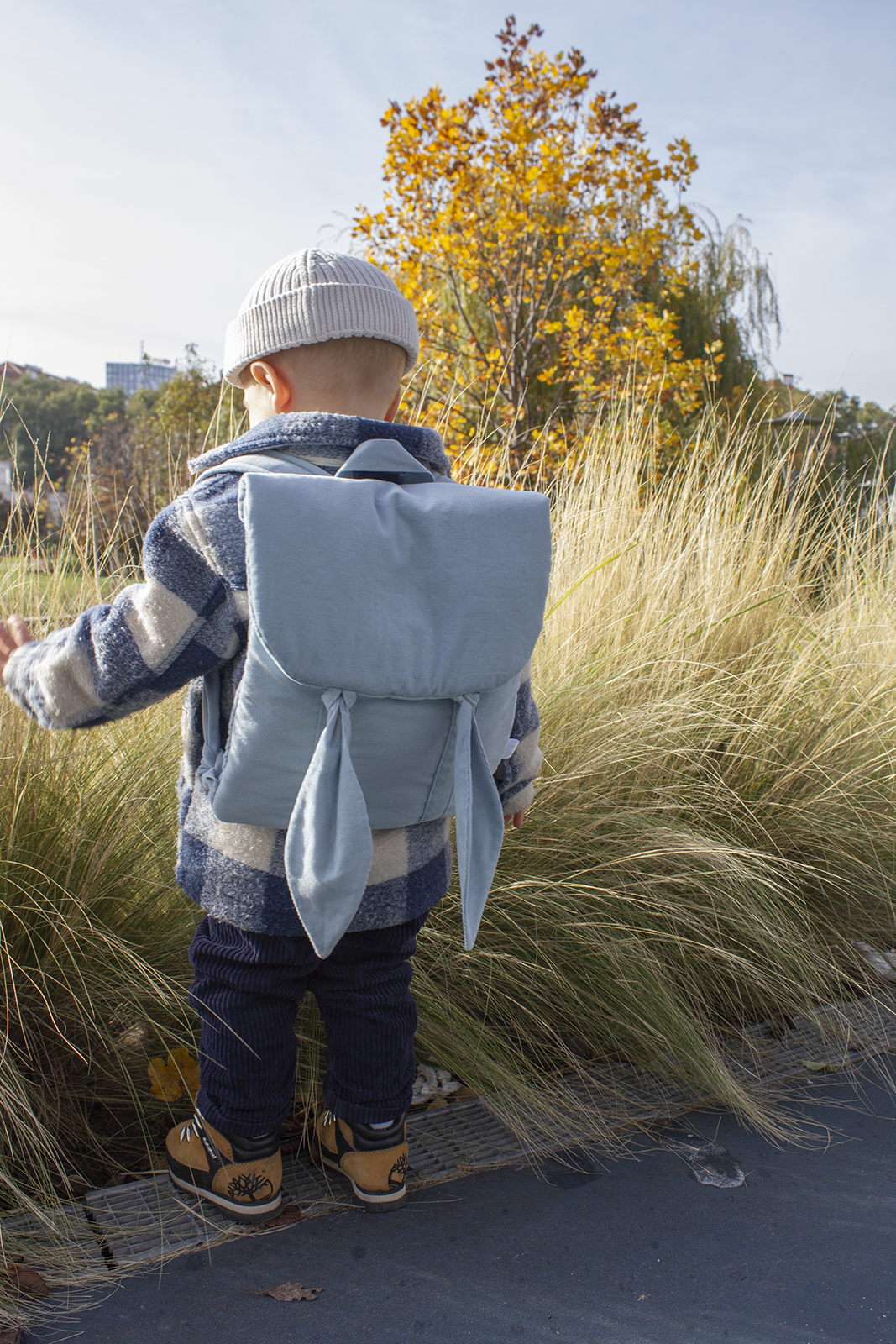 Ušivak- Modrý svetlý (Menčester )