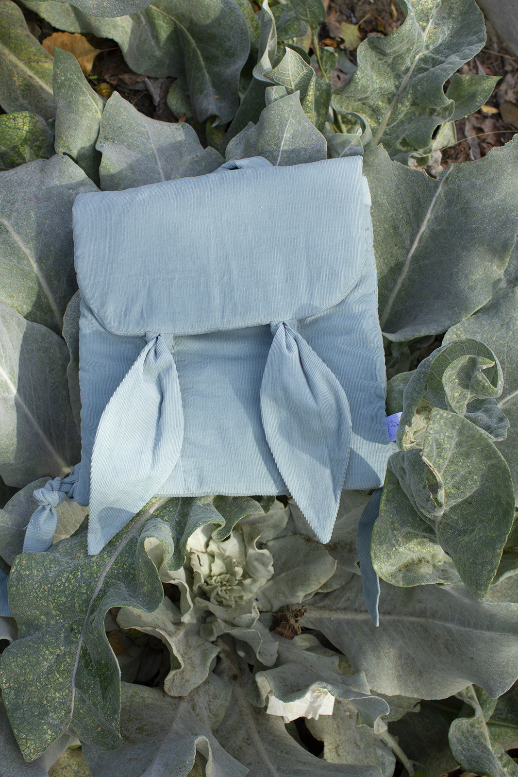 Ušivak- Zelený (Menčester)